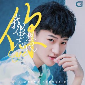 收听崔凯琦的我很想忘记你歌词歌曲