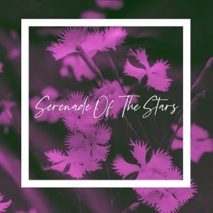 Album Serenade Of The Stars oleh Jerry of Everything