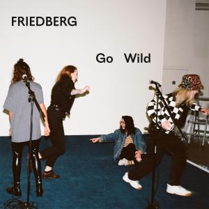 ดาวน์โหลดและฟังเพลง Go Wild พร้อมเนื้อเพลงจาก Friedberg