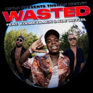 Album Wasted oleh Diplo