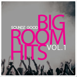 ดาวน์โหลดและฟังเพลง Bring Me Your Silence (Extended Mix) พร้อมเนื้อเพลงจาก Tony Star