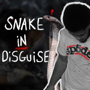 อัลบัม Snake In Disguise (Explicit) ศิลปิน Big Jimmy