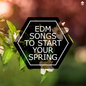 EDM Songs To Start Your Spring dari Various