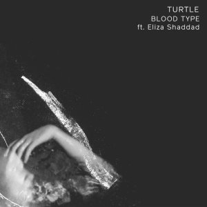 ดาวน์โหลดและฟังเพลง Blood Type พร้อมเนื้อเพลงจาก Turtle----[replace by 13851]