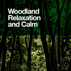 ดาวน์โหลดและฟังเพลง Indigenous Birds พร้อมเนื้อเพลงจาก Outside Broadcast Recordings