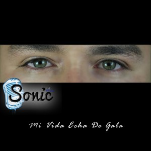 ดาวน์โหลดและฟังเพลง No Fue Mi Intención พร้อมเนื้อเพลงจาก Sonic Blue
