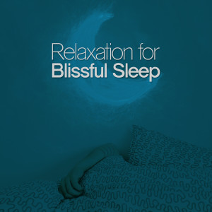 Various Artists的專輯Relaxation for Blissful Sleep