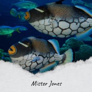 Album Mister Jones from Silvia Natiello-Spiller