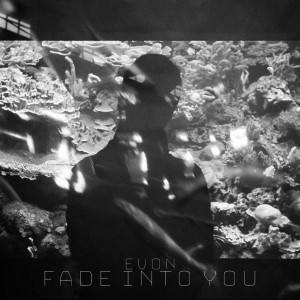 Album Fade into You from Evon