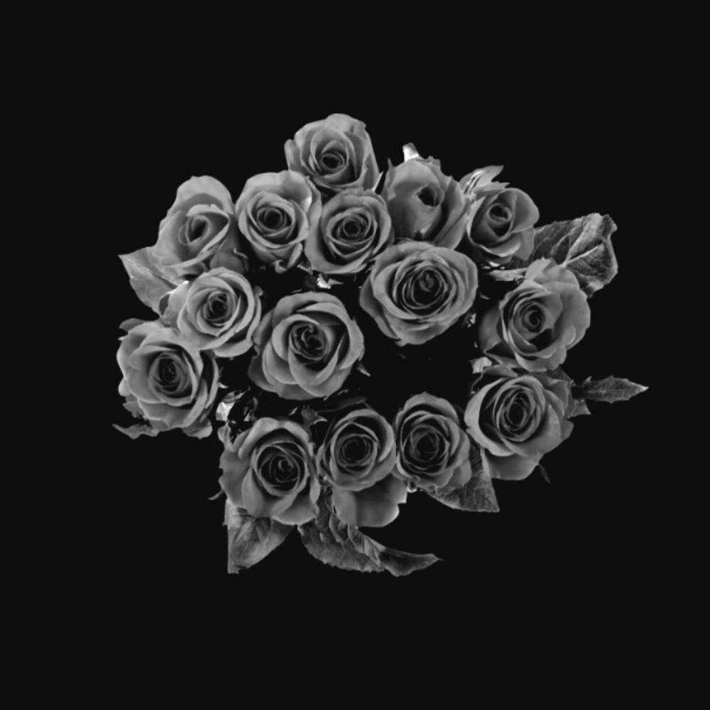 L.O.V.E (Explicit)