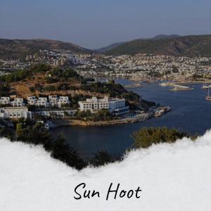 Album Sun Hoot from Various