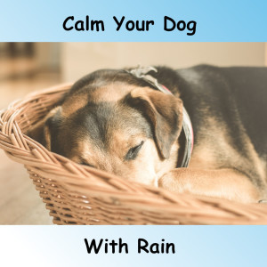 收听Rain Sounds的Rain歌词歌曲