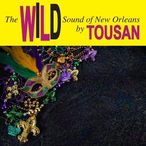 Allen Toussaint的專輯The Wild Sound of New Orleans by Tousan