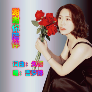 久哥的专辑谢谢你陪伴