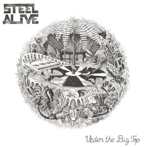 Listen to Should Pass Thru song with lyrics from Steel Alive