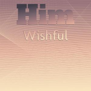 Various的专辑Him Wishful