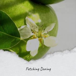 收听Domen Pelly的Fertile Leech歌词歌曲