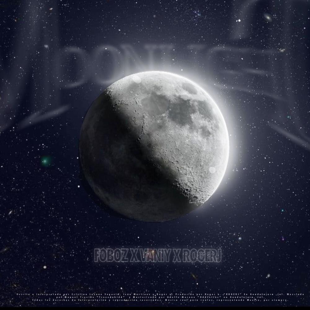 Moonlight (feat. VANI & Roger J)