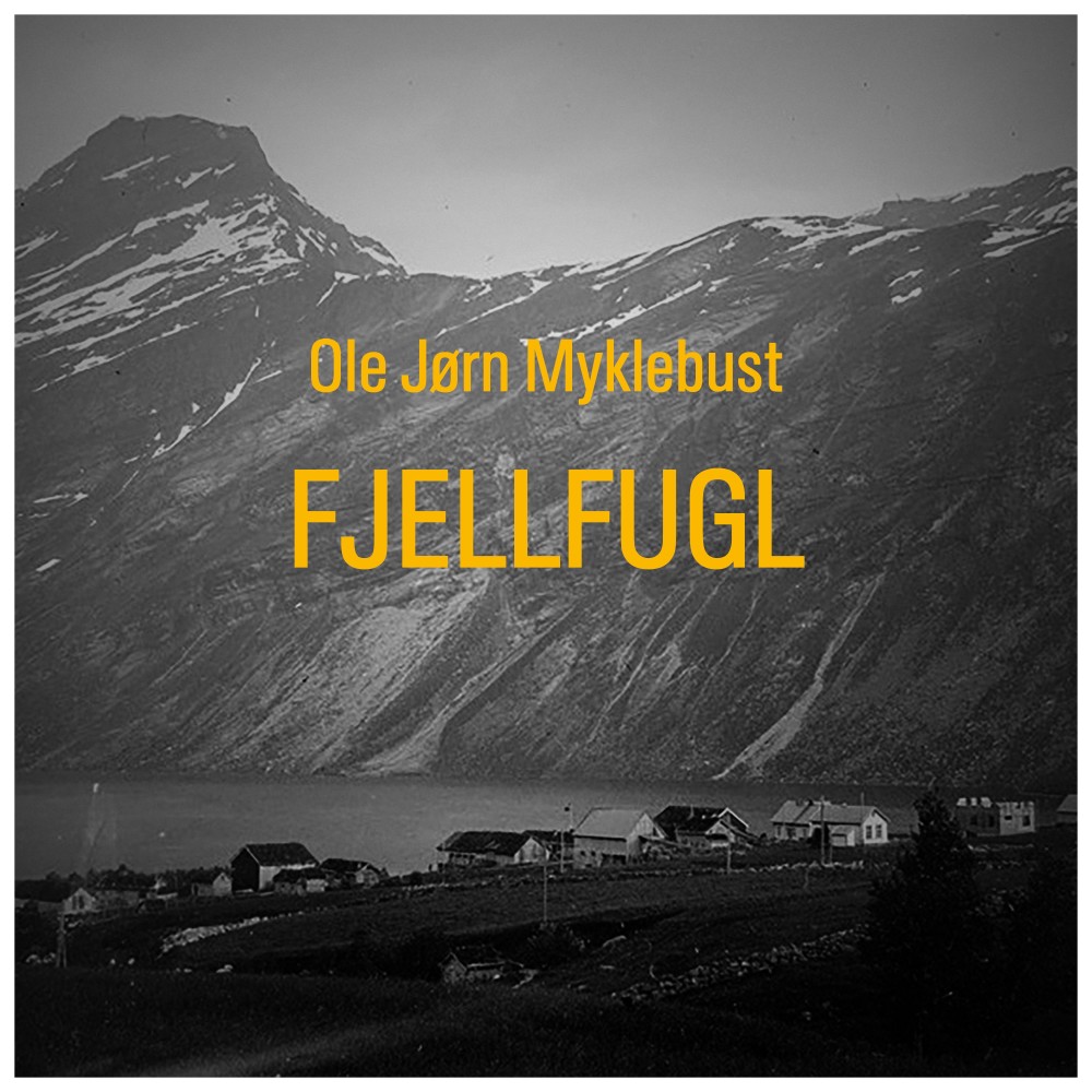 Fjellfugl