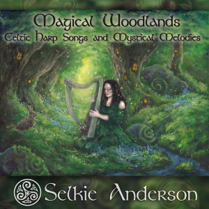 Listen to Into the Unknown song with lyrics from Selkie Anderson