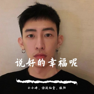 Listen to 四季予你（DJ版） song with lyrics from 小小峰