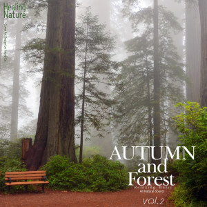 ดาวน์โหลดและฟังเพลง Beautiful Soundscapes พร้อมเนื้อเพลงจาก 힐링 네이쳐 Nature Sound Band