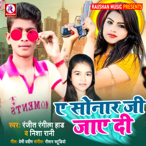 Listen to A Sonar Ji Jaye Di song with lyrics from Ranjit Rangila Had