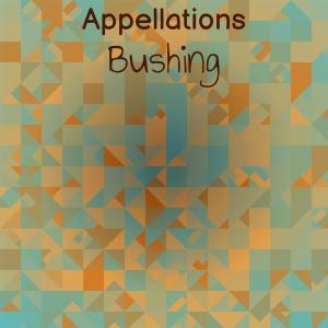 Listen to Appellations Bushing song with lyrics from Fraz Gosh
