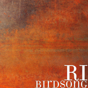 Listen to Birdsong song with lyrics from Ri