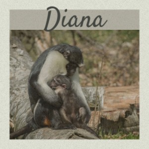 Various Artists的專輯Diana