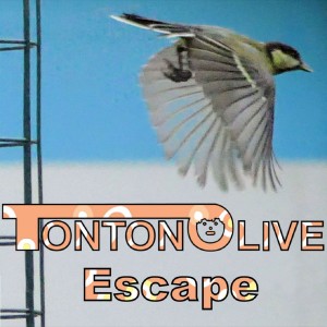 Listen to Des clous song with lyrics from Tonton Olive