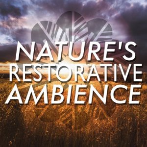 ดาวน์โหลดและฟังเพลง Calm Flow พร้อมเนื้อเพลงจาก Nature Ambience