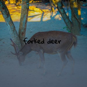 Album Forked Deer (Explicit) from Various Artists