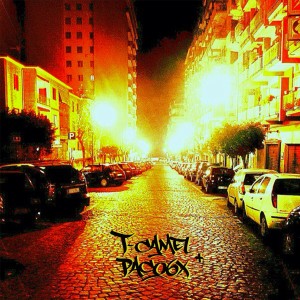 Listen to Nun è perfetto (Explicit) song with lyrics from T-Camel