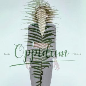 ดาวน์โหลดและฟังเพลง Parting Glass พร้อมเนื้อเพลงจาก Lenka Filipova