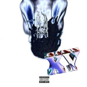 ดาวน์โหลดและฟังเพลง Y . (Explicit) พร้อมเนื้อเพลงจาก KvngRo