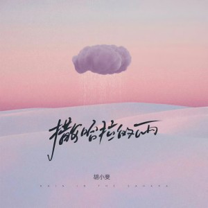 胡小斐的专辑撒哈拉的雨