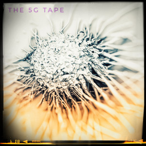 收听Wonder Kidd的Space Cadet歌词歌曲