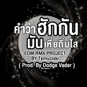 คำว่าฮักกัน มันเหี่ยถิ่มไส (EDM RMX PROJECT) - Single