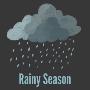 Album Rainy Season from Relaxing Rain Sounds