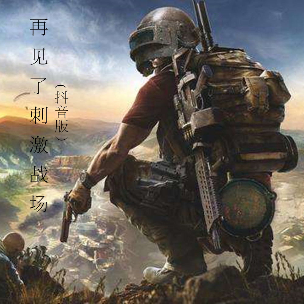 再见了刺激战场 (抖音版)