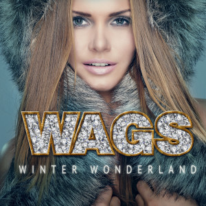 Various Artists的專輯WAGS Winter Wonderland