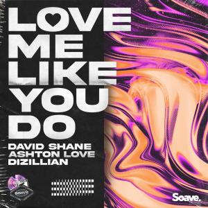 Listen to Love Me Like You Do song with lyrics from David Shane