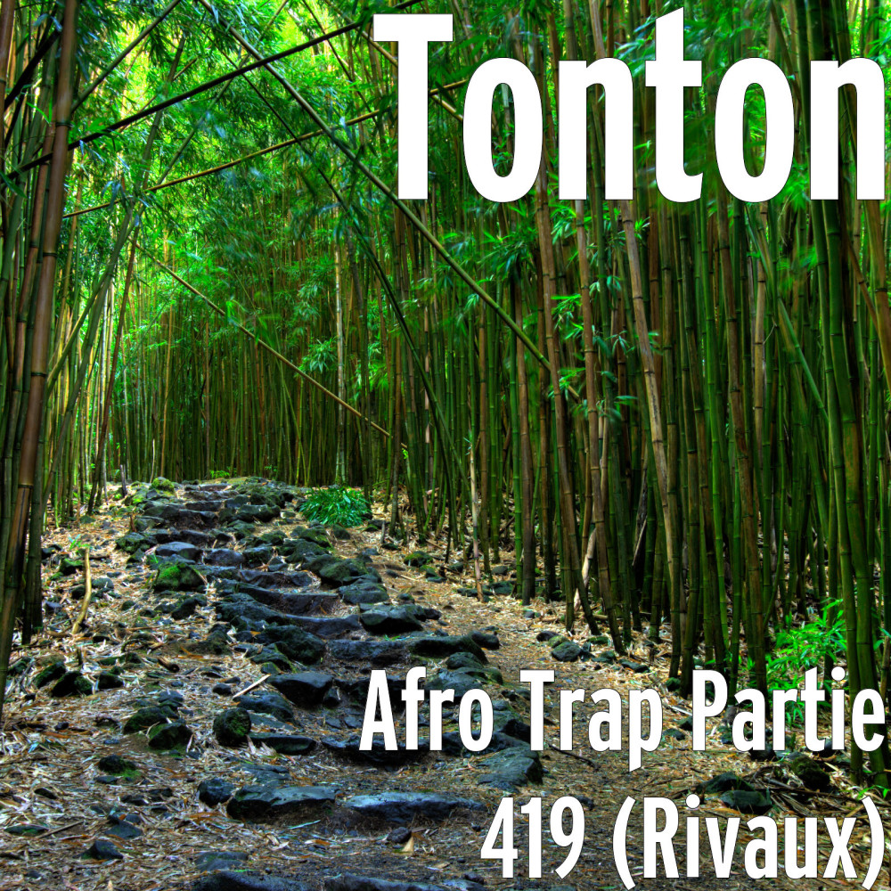 Afro Trap Partie 419 (Rivaux) (Explicit)