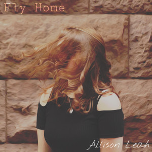 Dengarkan Where Do Hearts Go lagu dari Allison Leah dengan lirik