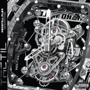 Listen to 020 Stillflex song with lyrics from Rich Cover