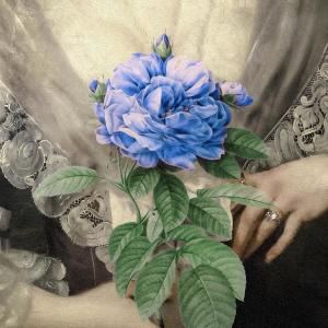 Blue Rose (Feat. X.Q) dari Muzie
