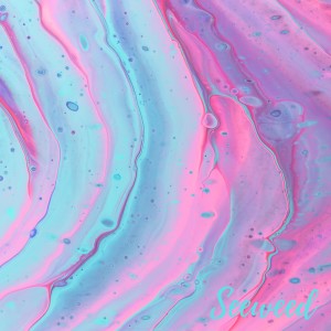 Listen to State of Mind song with lyrics from Seeweed
