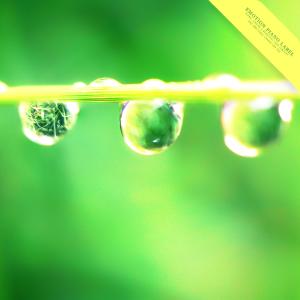 Various Artists的专辑Lovely Rain And New Age Piano Music (Nature Ver.)
