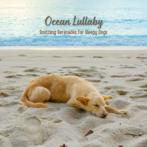 Relaxmydog的专辑Ocean Lullaby: Soothing Serenades for Sleepy Dogs